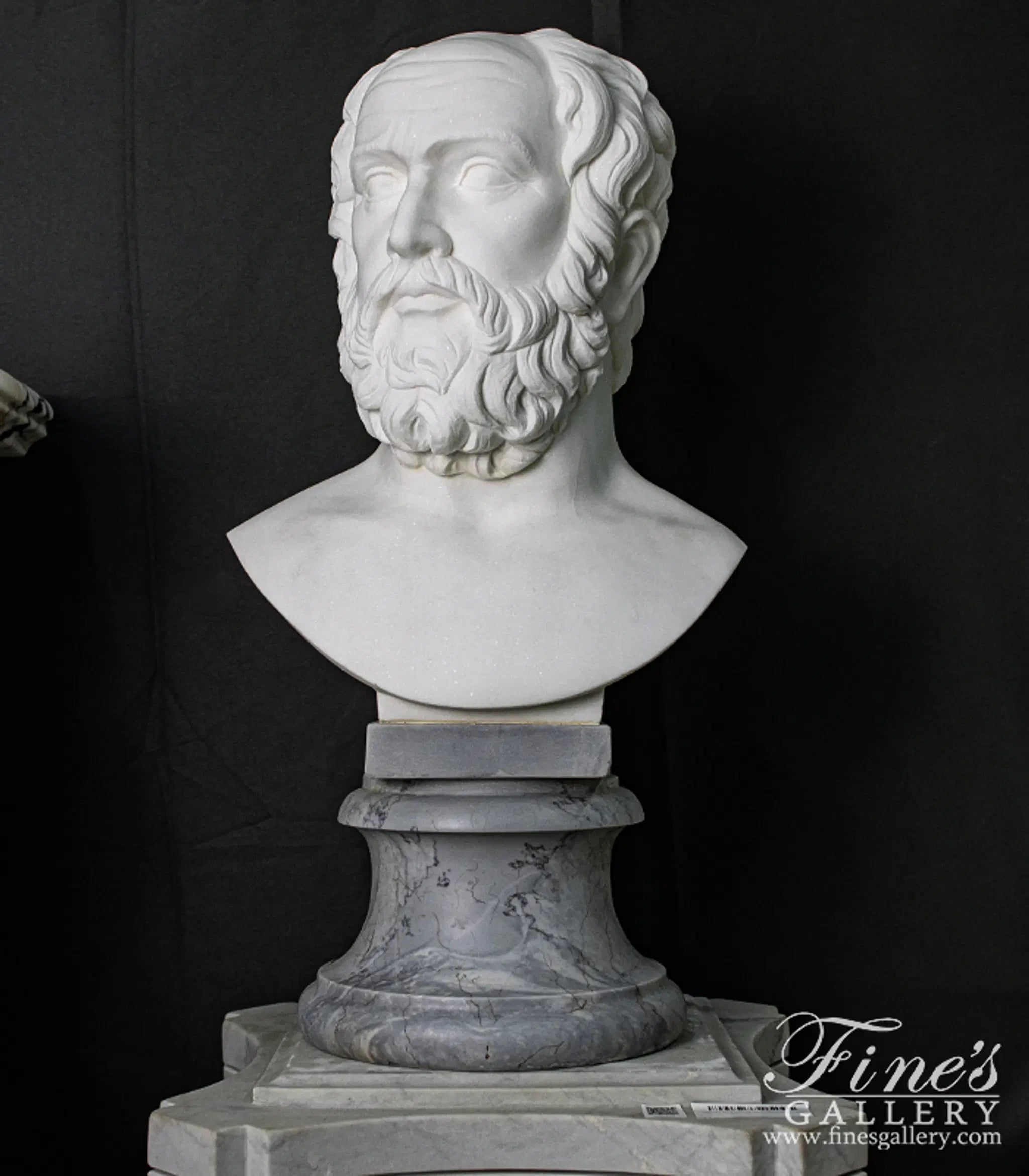 Bust of Plato in Statuary White Marble