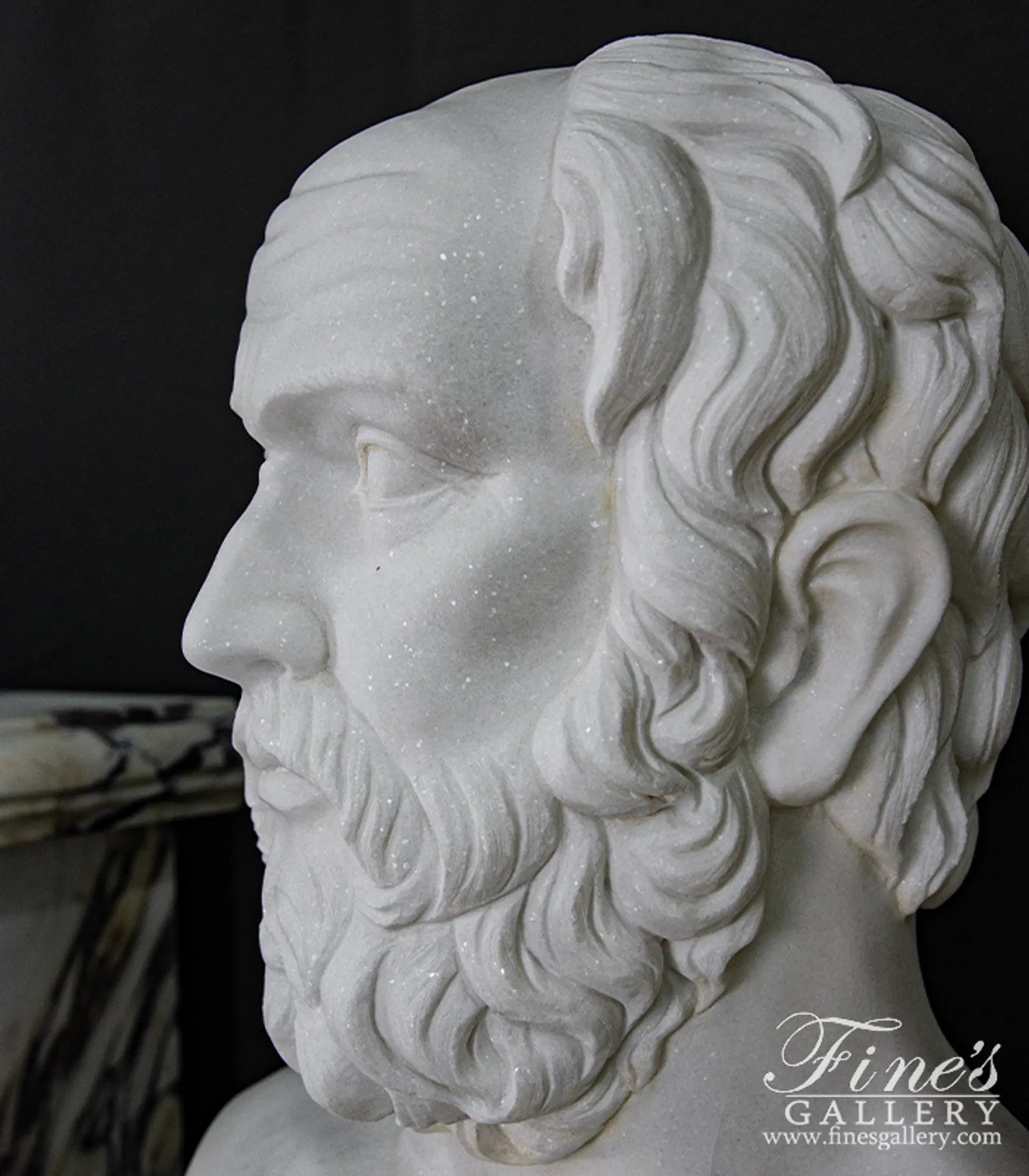 Bust of Plato in Statuary White Marble