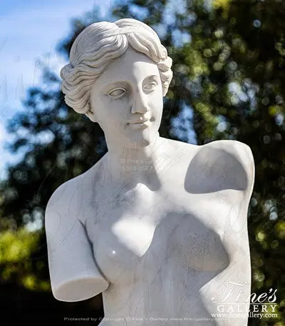 Statuary Marble Venus De Milo Statue